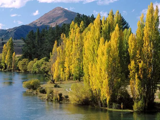 环保高性能科技